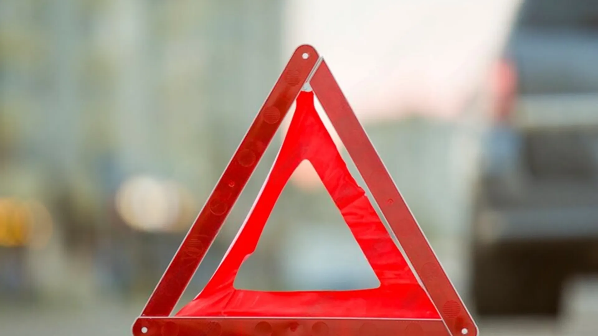 Фото: УГИБДД ГУ МВД России по МО