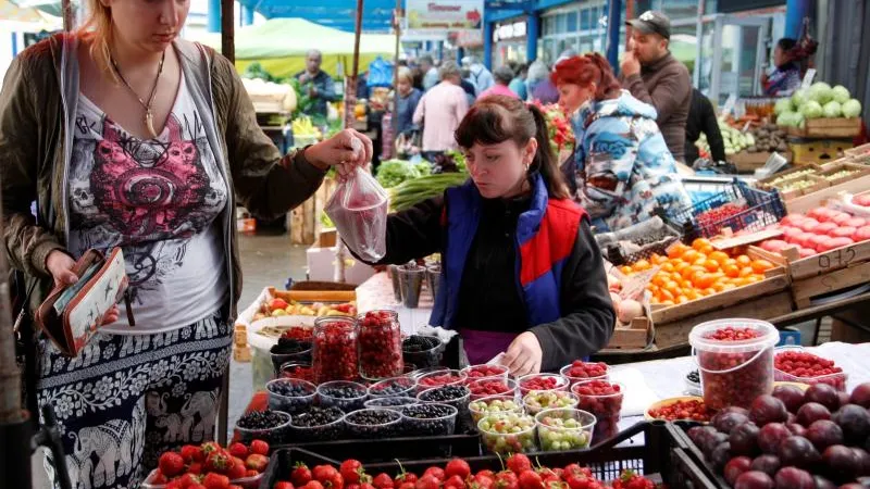 Кирилл Искольдский / Подмосковье сегодня