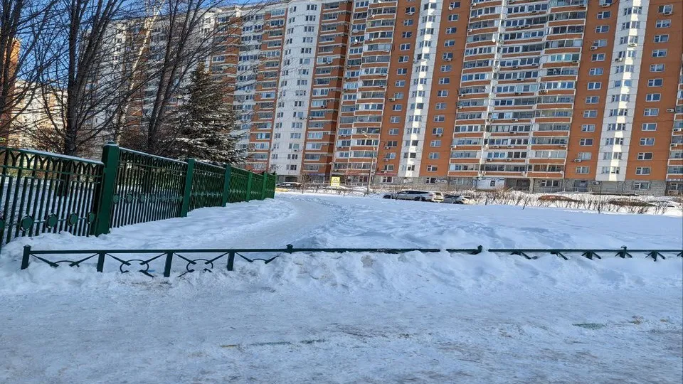 Фото: t.me/odintsovo_info