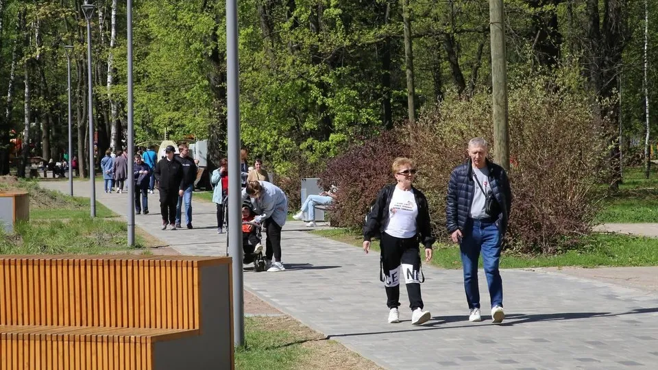 Фото: Министерство благоустройства Московской области