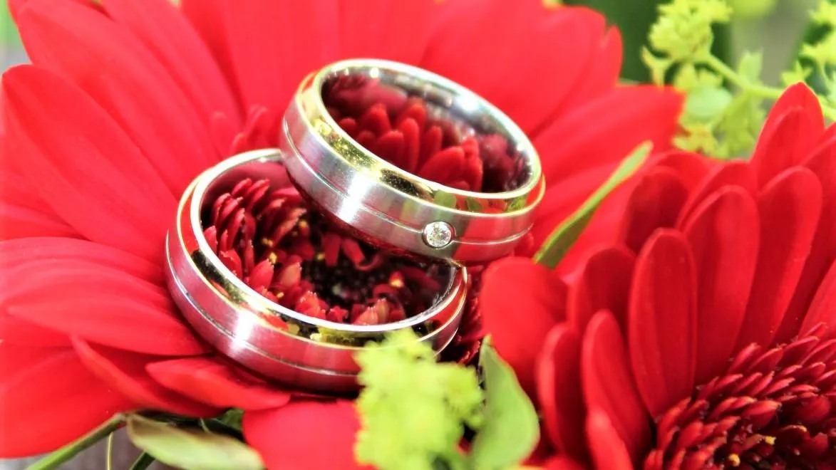 Фото: pxhere.com