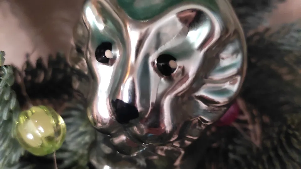 Фото: Ирина Горбачева