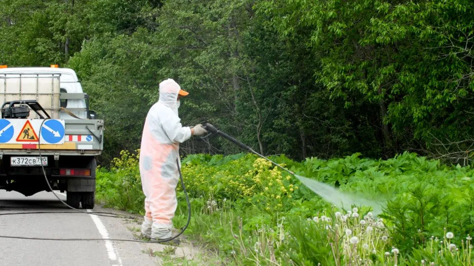 Фото: Минтранс Подмосковья