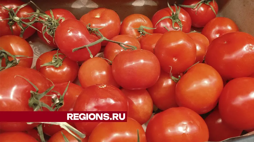 Фото: Василий Тремасов