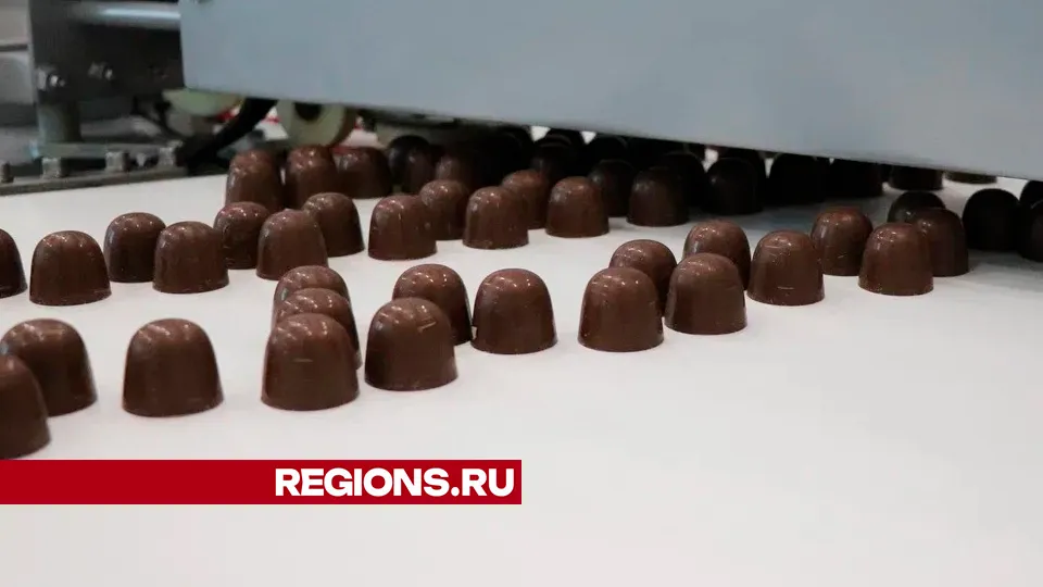 Фото: REGIONS/Василий Тремасов