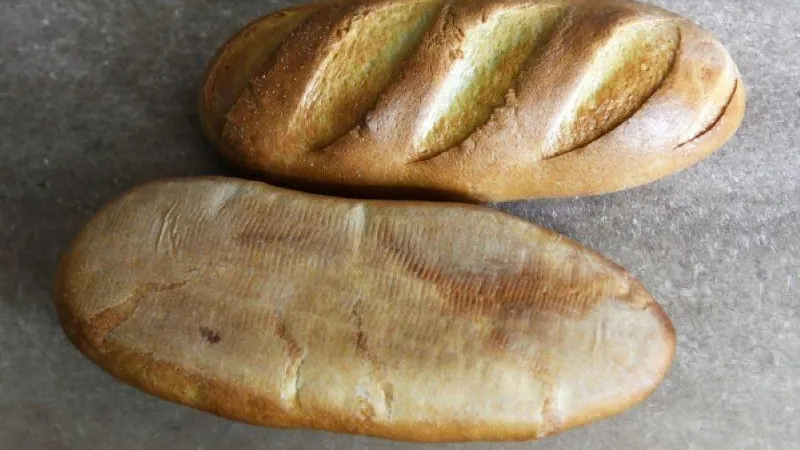 РИА Новости / РИА Новости