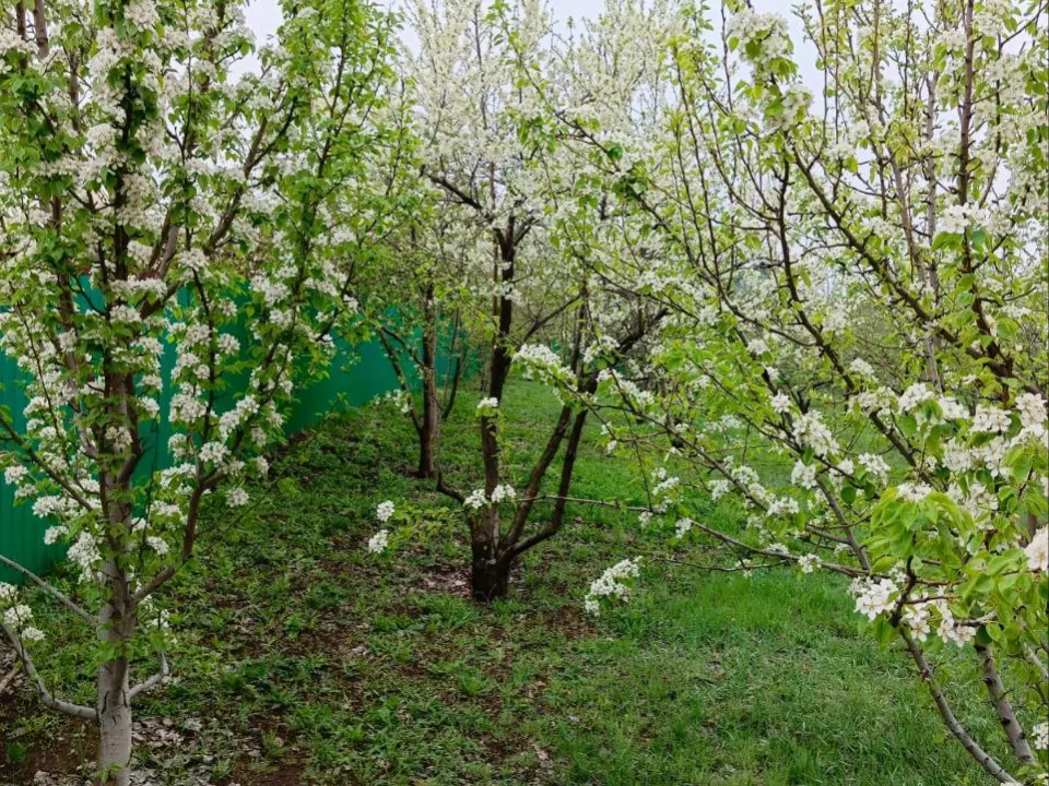 Фото: REGIONS/Юлия Габбасова