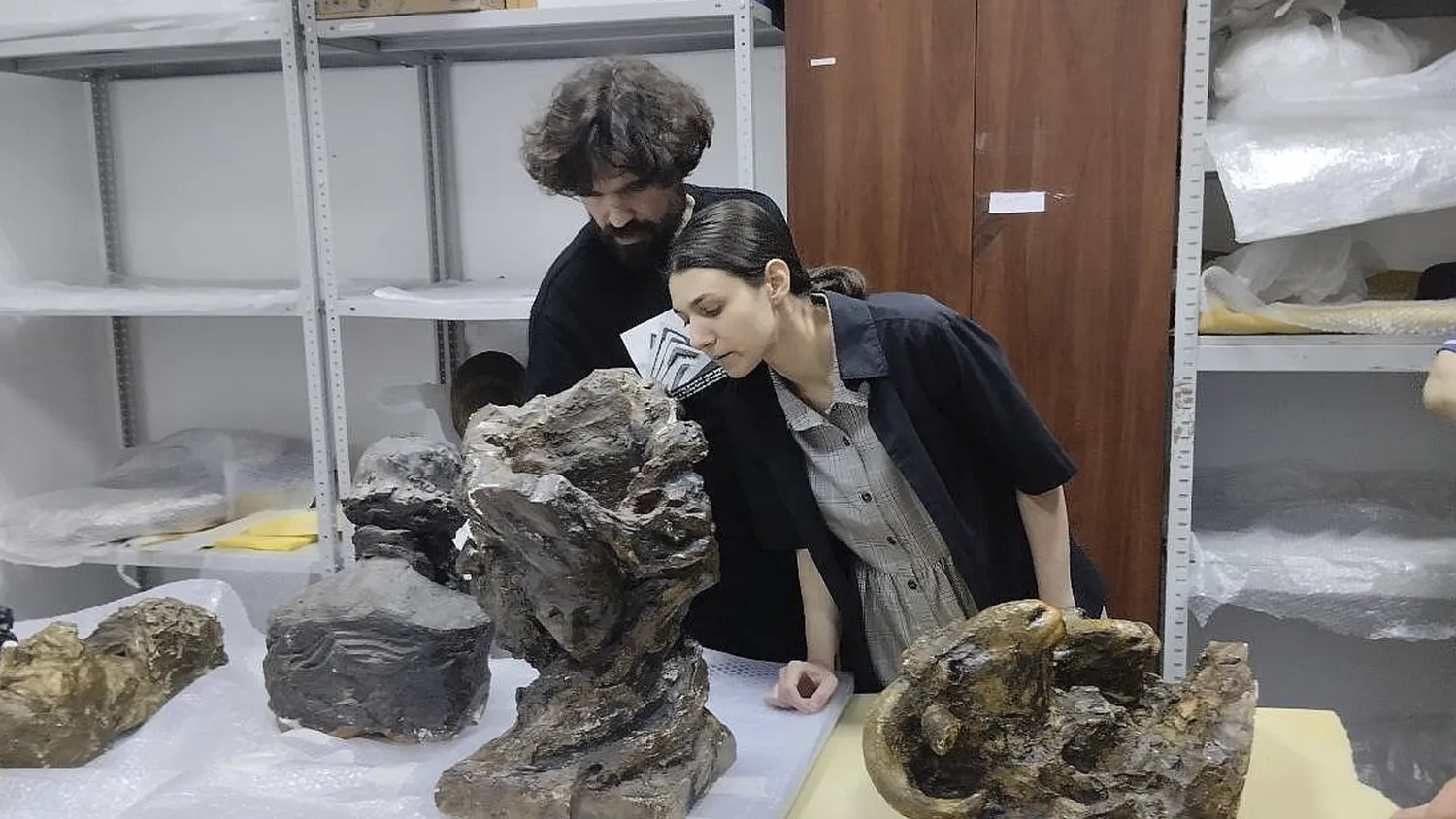 Фото: ГМЗ «Зарайский кремль»