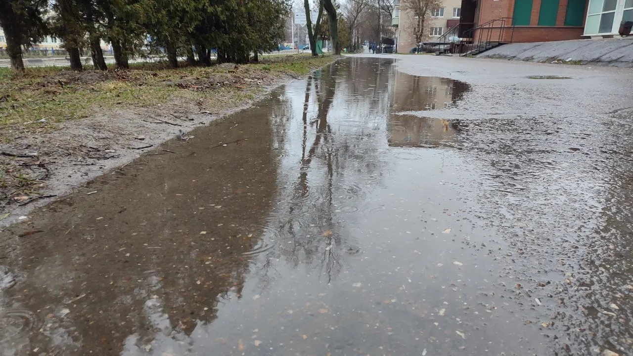 Фото: REGIONS/Елена Забелина