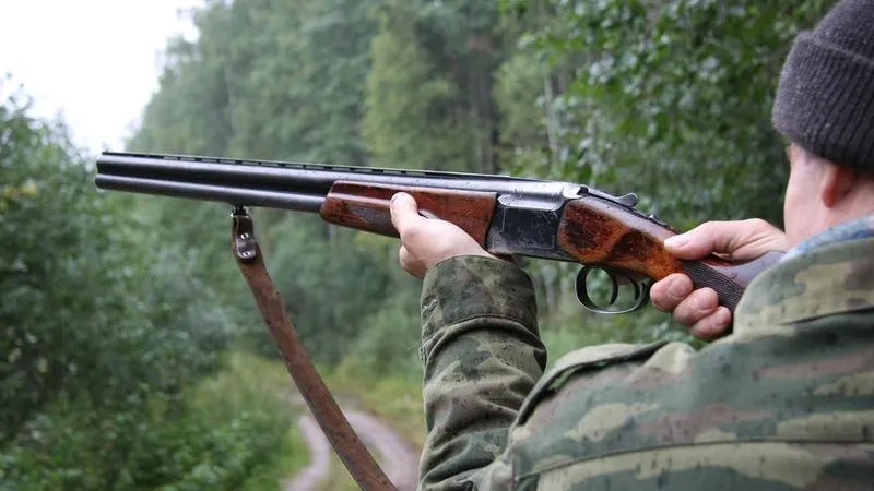 Охотники обстреляли загородный дом жителя Дмитрова