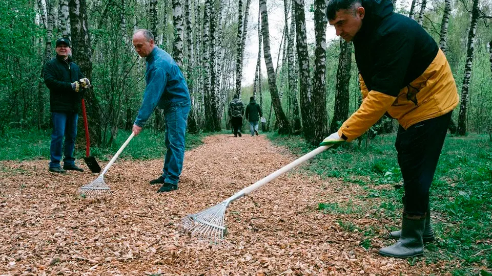 Фото: пресс-служба администрации г.о. Домодедово