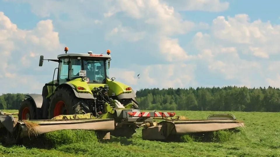 Фото: пресс-служба администрации Волоколамского м.о.