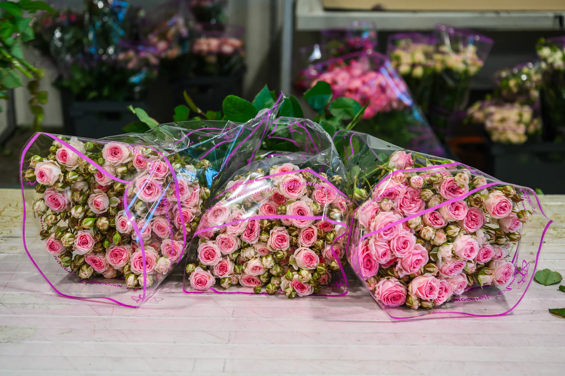 медиасток.рф