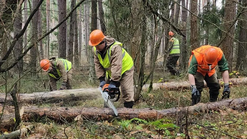 Фото: МедиаБанк Подмосковья/Анна Шолохова