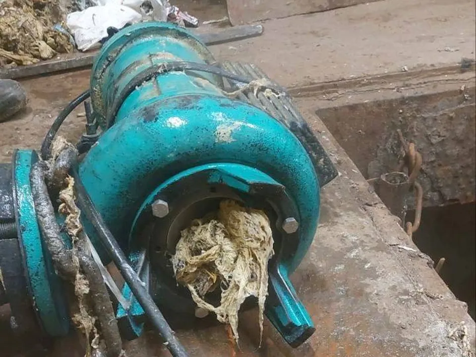 Фото: пресс-служба администрации г.о.Котельники