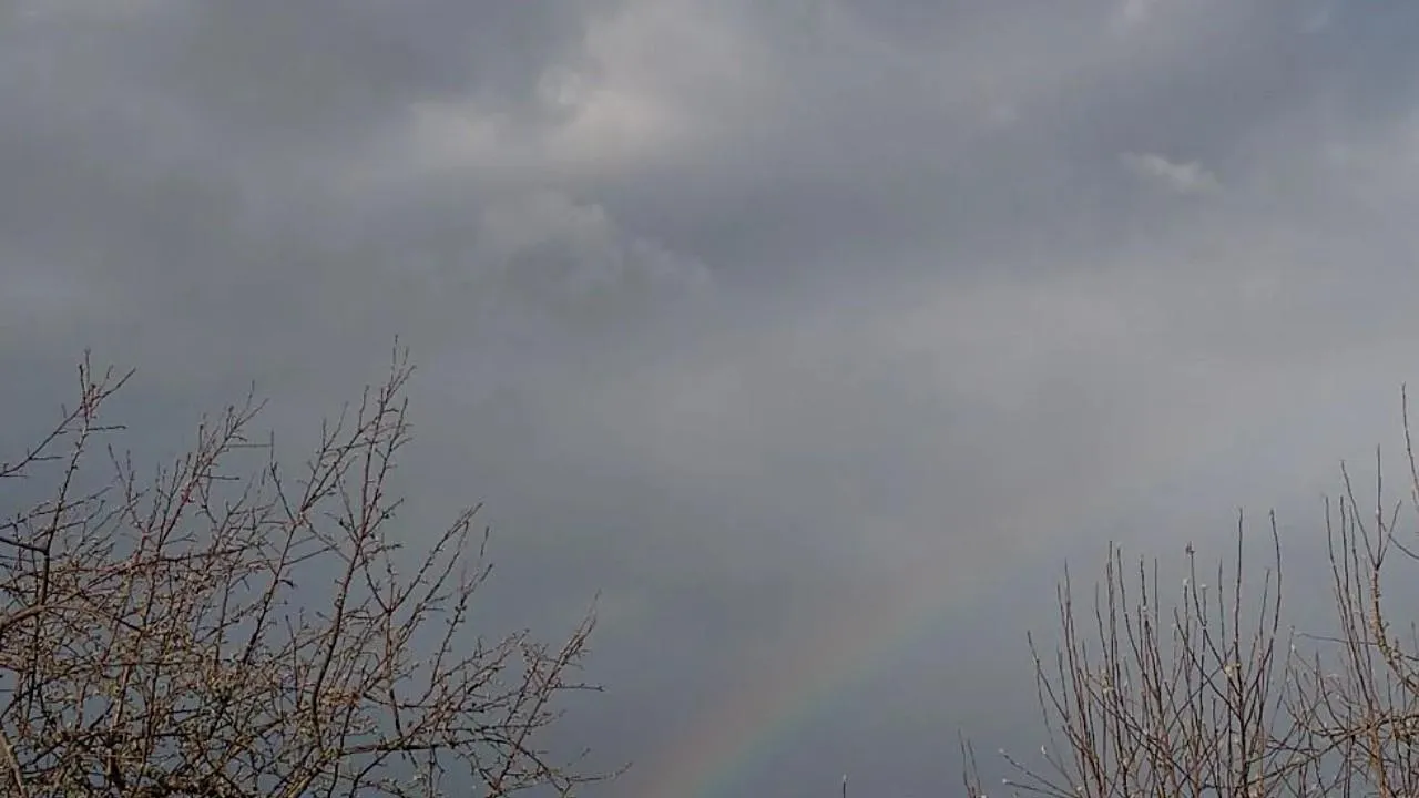 Серафим Мурзин