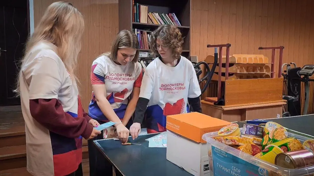 МедиаБанк Подмосковья/Ольга Антонова