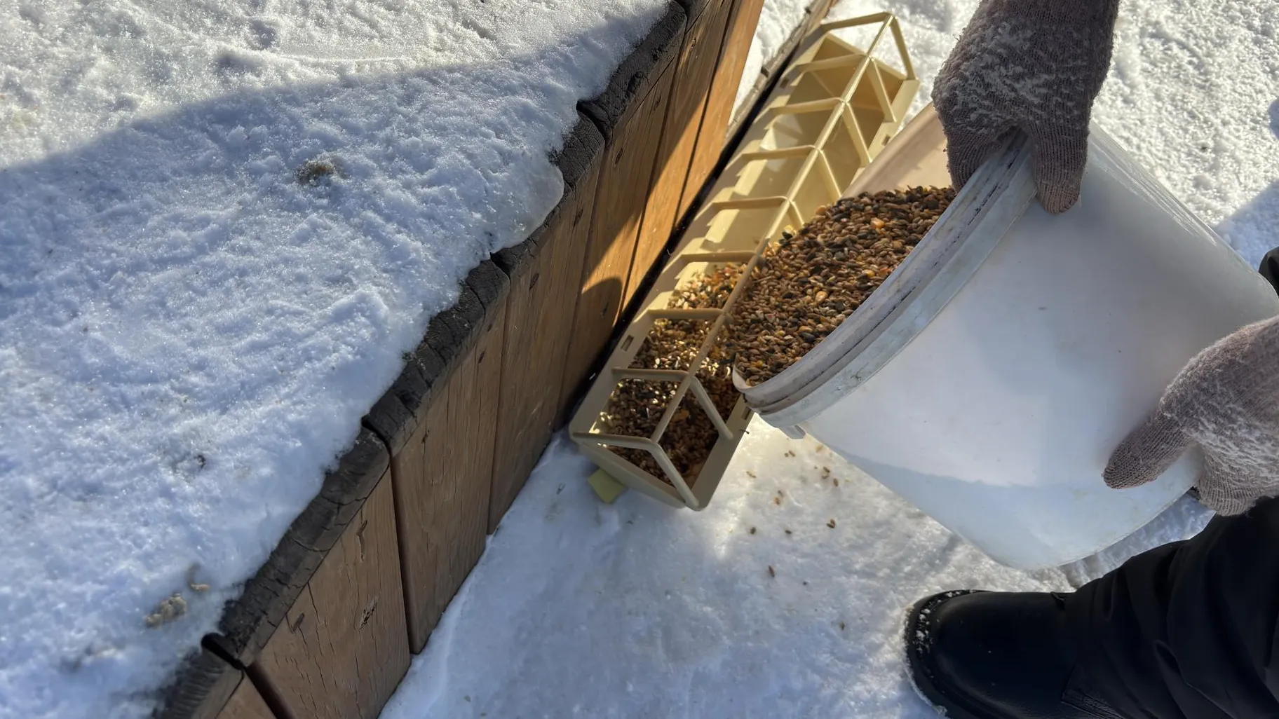 Анна Артюшина