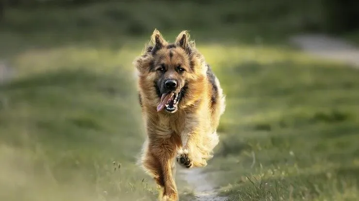 Фото: freepik.com