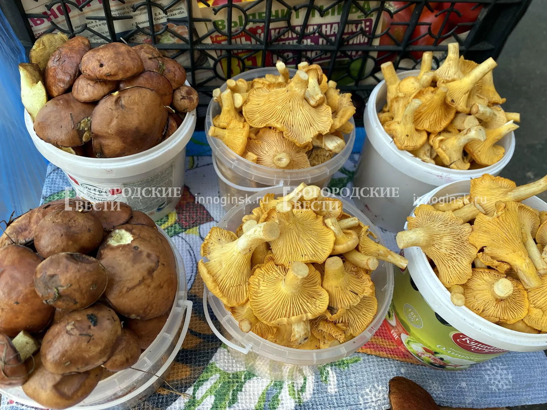 REGIONS/Александр Легкий