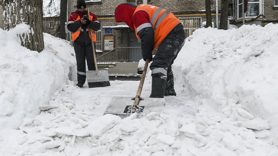 Фото: медиасток.рф