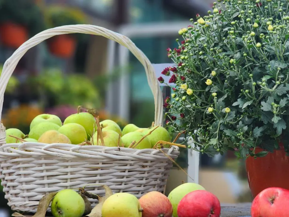Фото: МедиаБанк Подмосковья/Евгений Рой&nbsp;