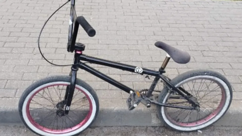 Фото: пресс-служба ГУ МВД России по Московской области