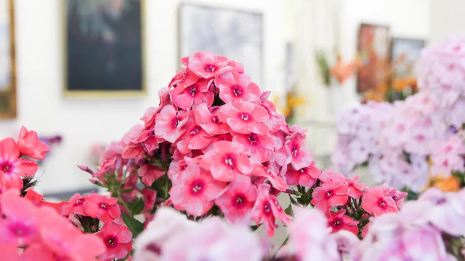 Фото: КЦ «Дом Озерова»