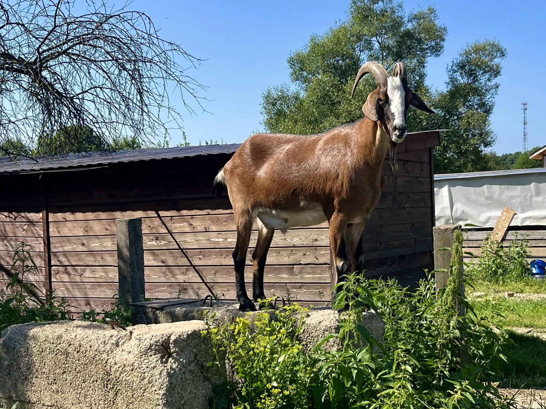 Фото: Анна Тюрюмина&nbsp; &nbsp; &nbsp; &nbsp;