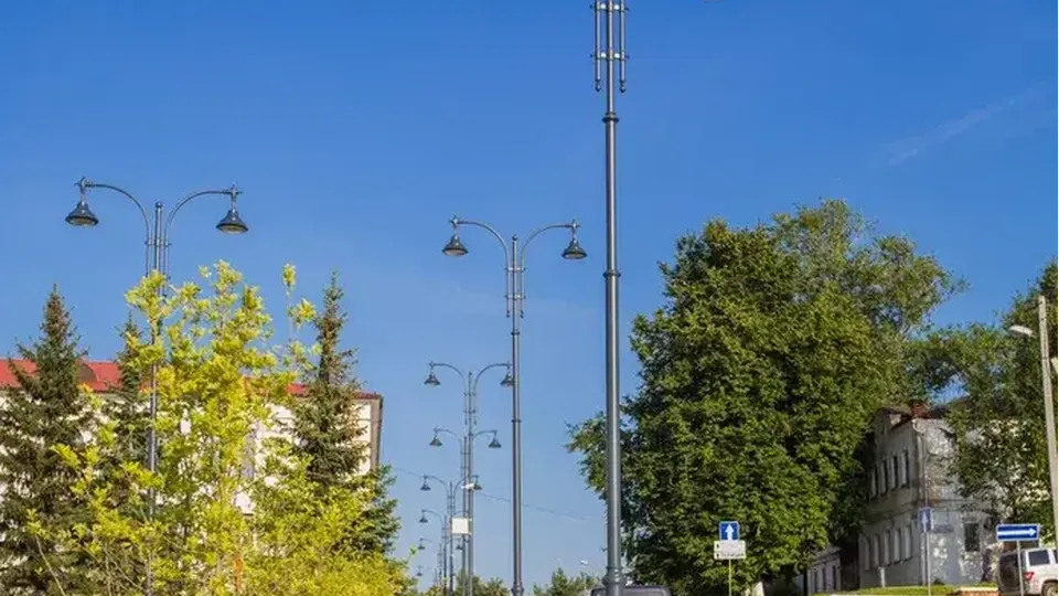 Фото: Министерство благоустройства Московской области