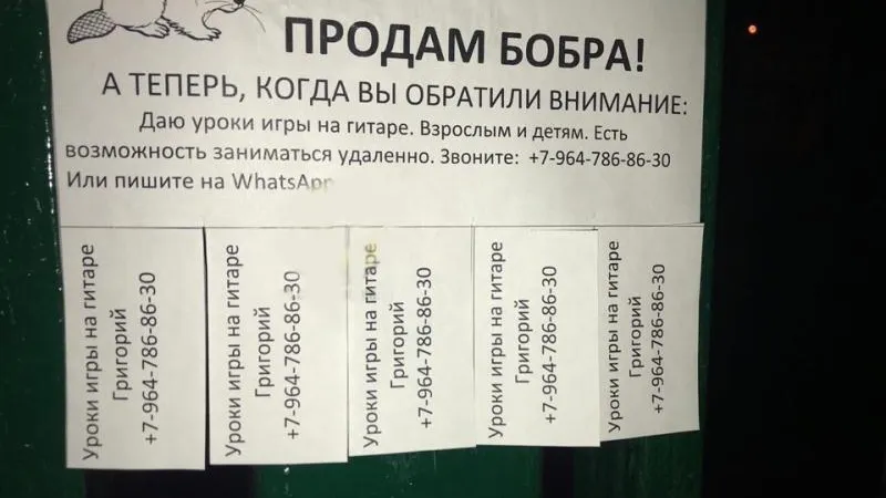 Типичные Химки/vk.com