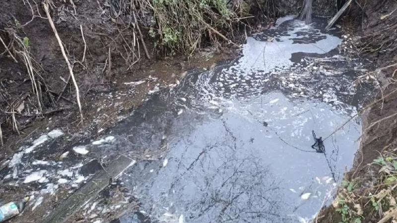 Минэкологии МО