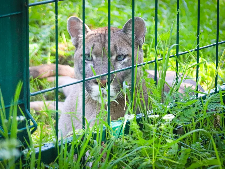 Фото: МедиаБанк Подмосковья/Данила Кирьянов