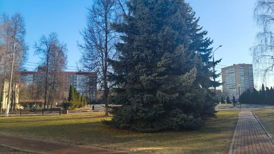 Фото: пресс-служба администрации г. о. Подольск