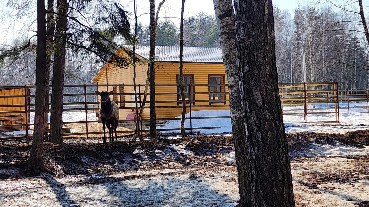 МедиаБанк Подмосковья/Валерия Исаева