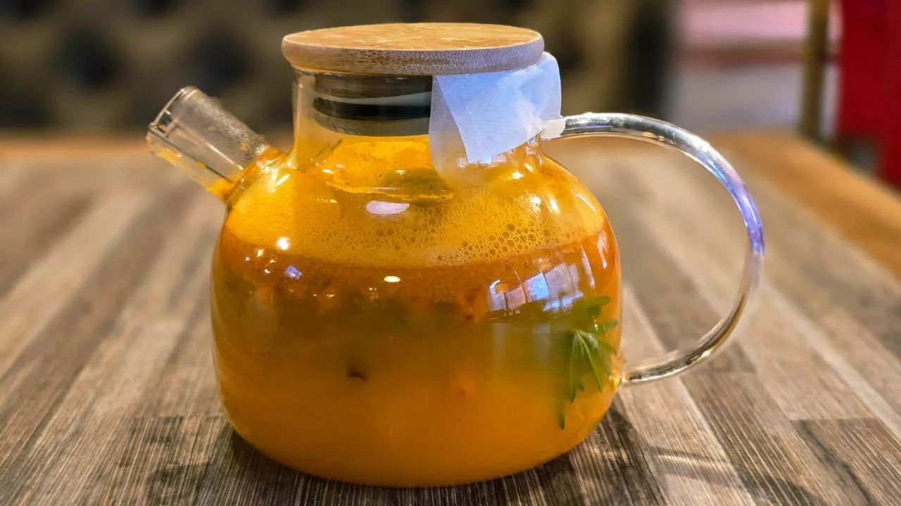 REGIONS/Елена Болотова