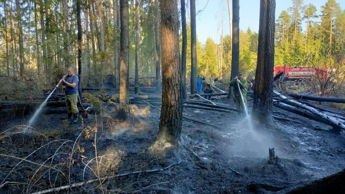 Комитет лесного хозяйства Московской области