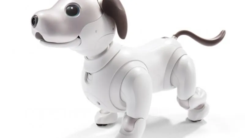  aibo.sony.jp / Sony Corporation