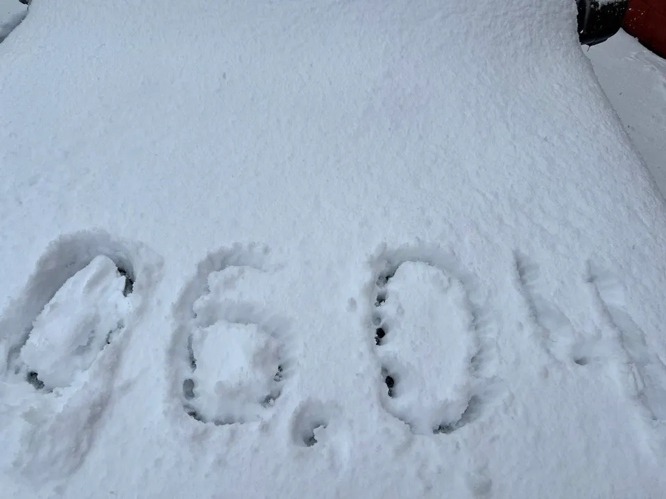 Фото: Елена Фурман