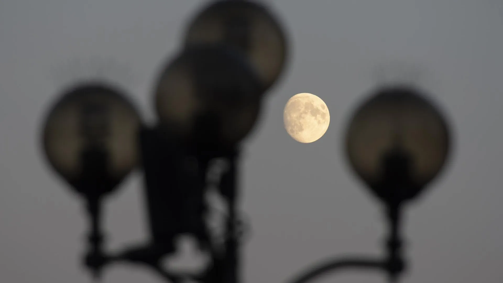 Jaap Arriens/ZUMAPRESS.com