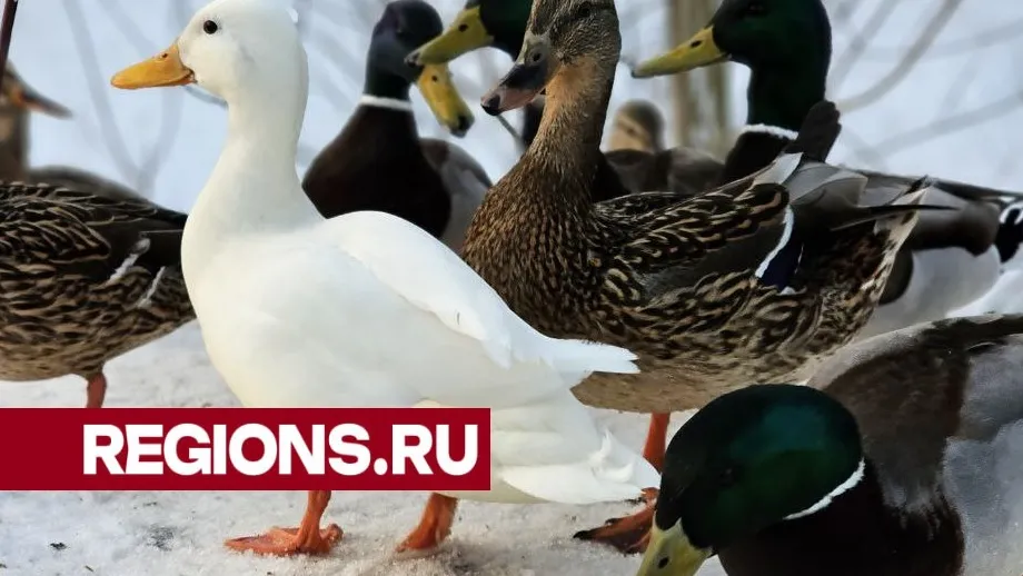 Фото: Марина Волкова