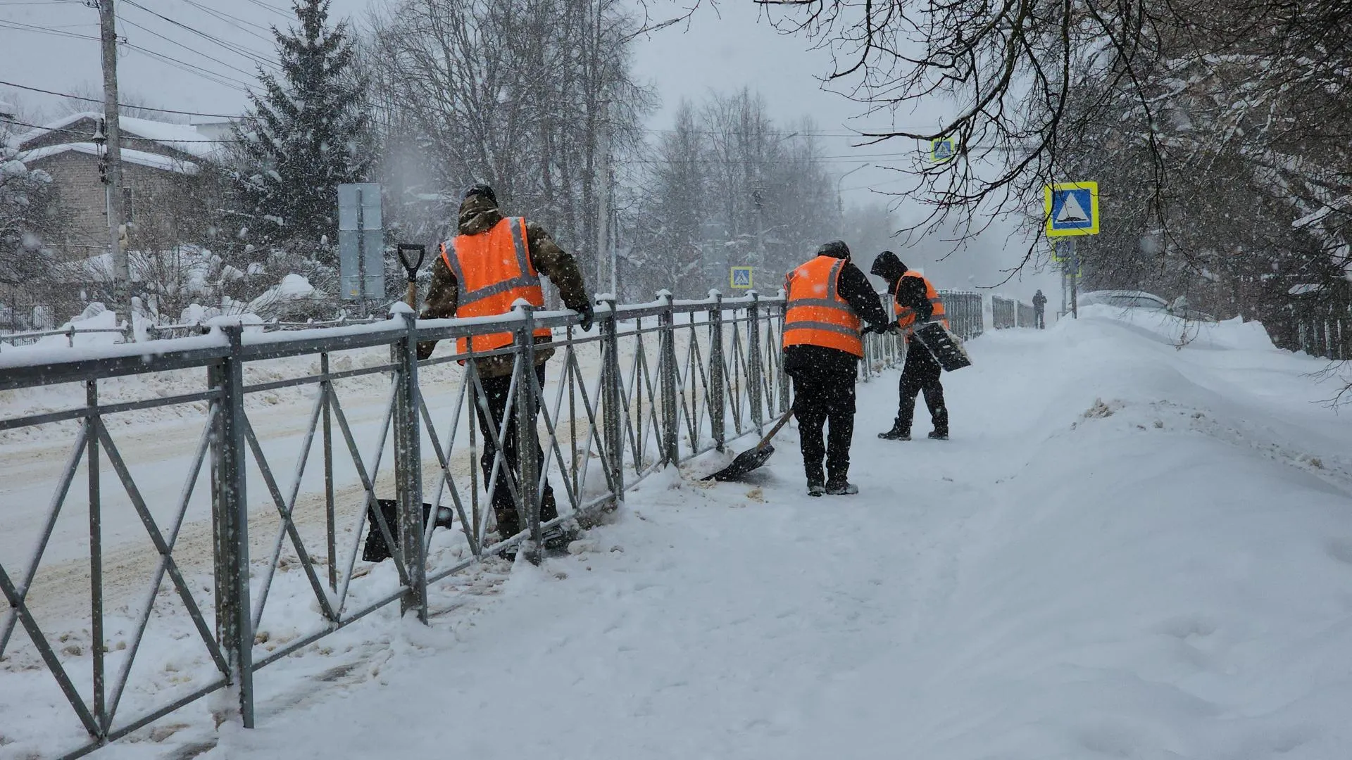 МедиаБанк Подмосковья/Екатерина Данилина