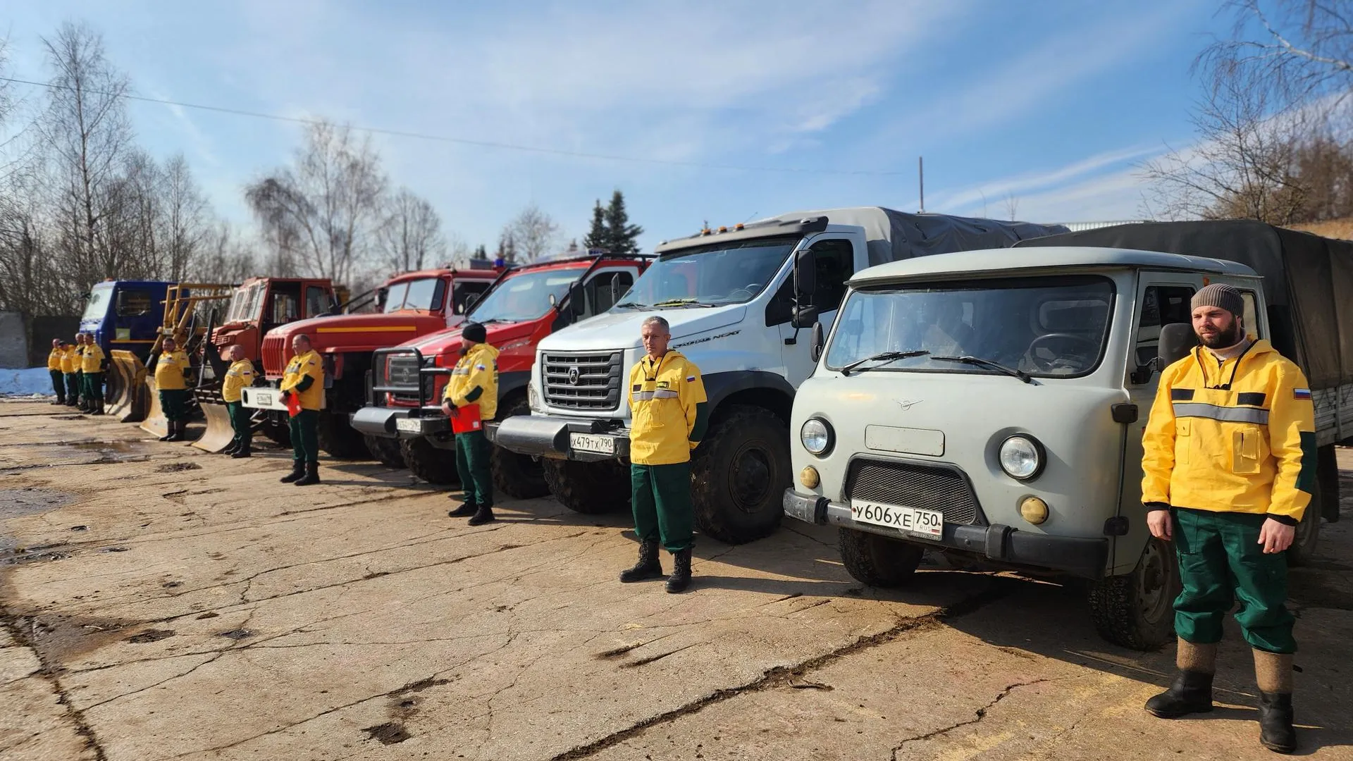 Елена Шумакова