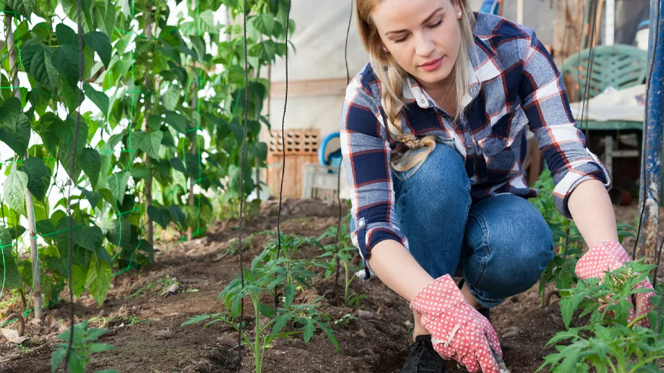 Фото: istockphoto.com