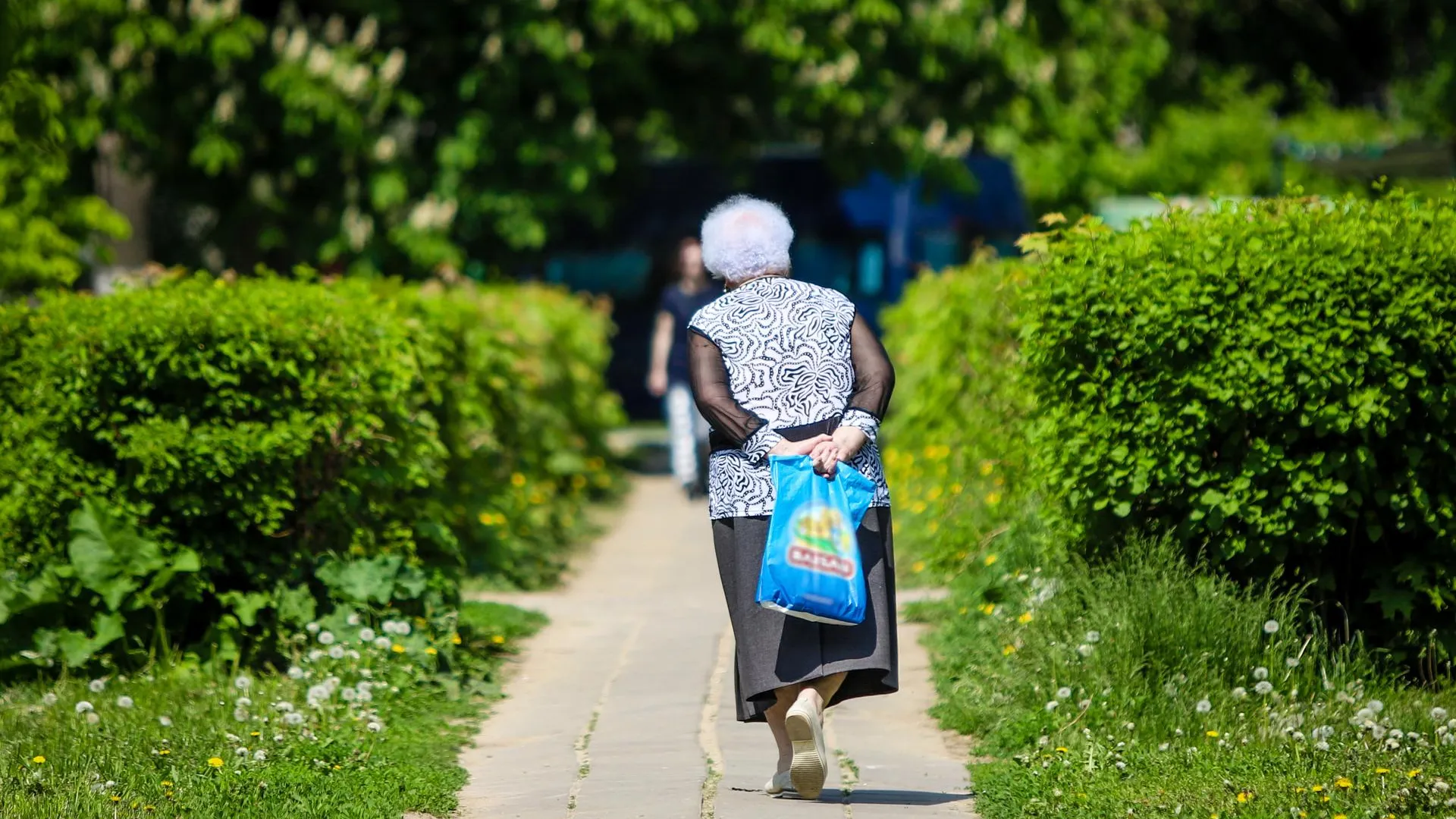 Фото: Виталий Ватулин