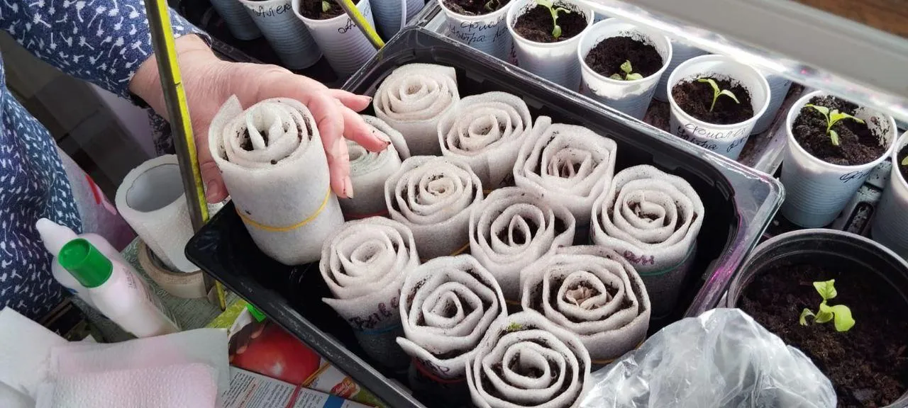 Фото:&nbsp;«Активное долголетие», Бронницы