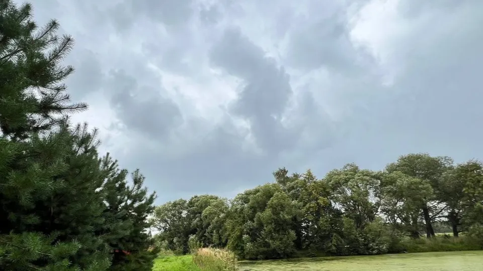 Фото: Елена Фурман