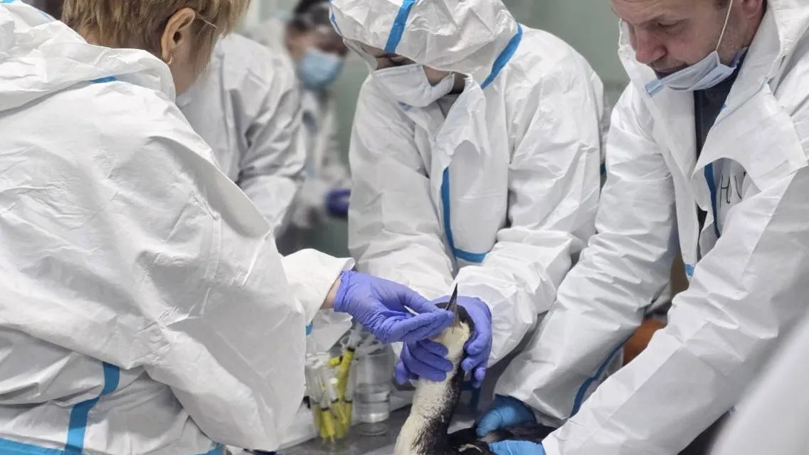 Фото: пресс-служба губернатора Московской области