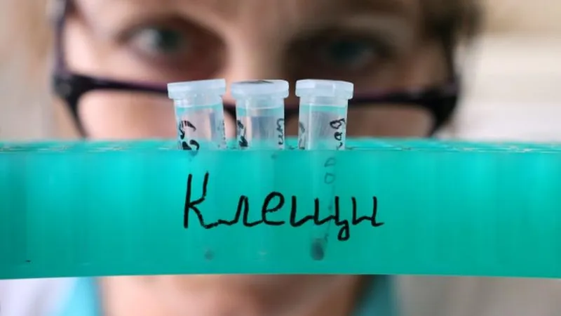 В области зарегистрировано 5,7 тыс укусов клещей