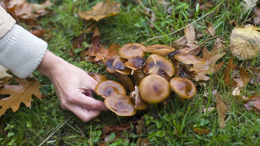 Фото: freepik.com